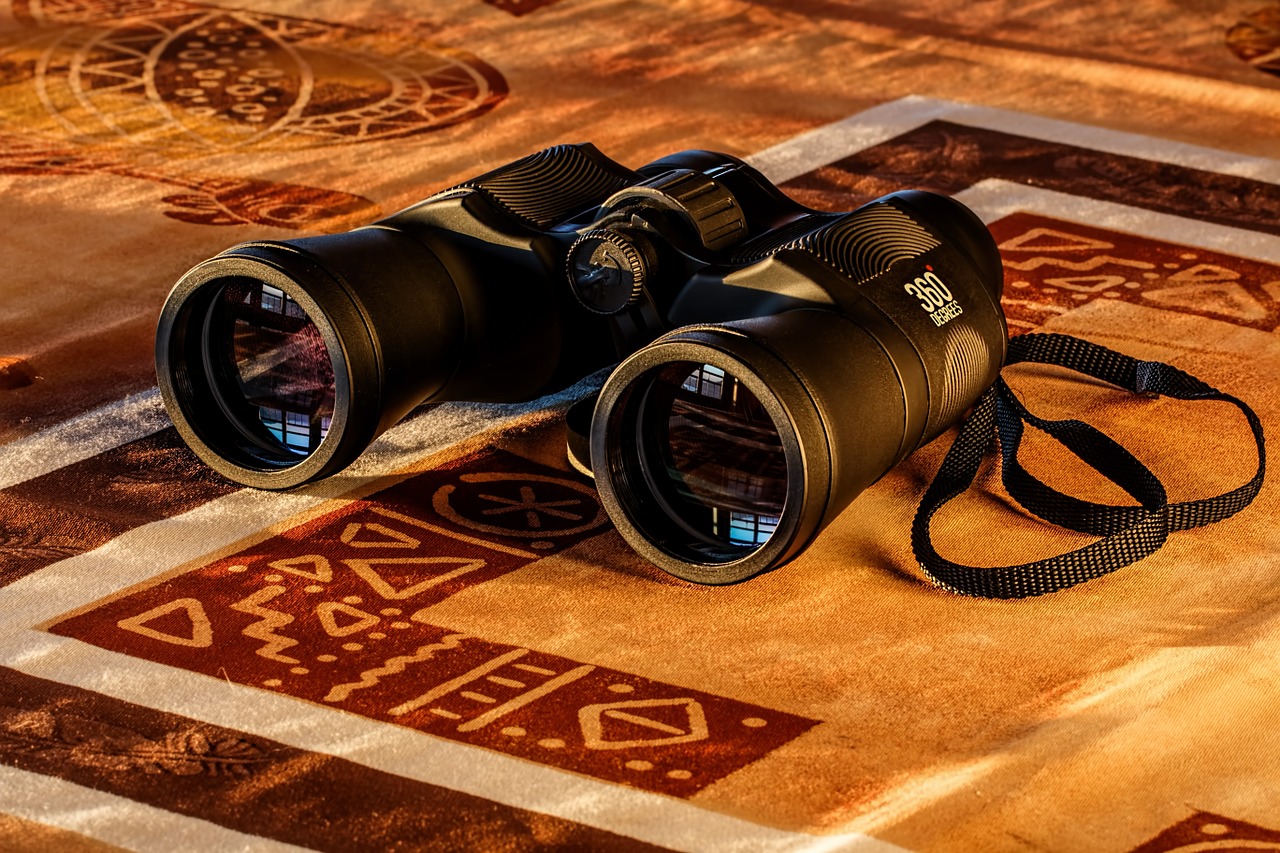 binoculars, lenses, vision-431488.jpg